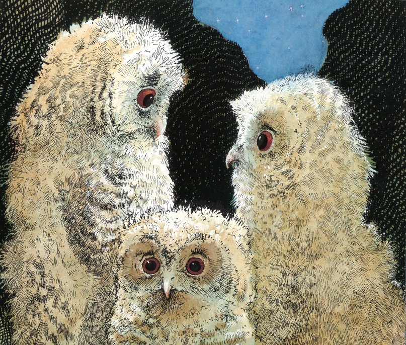 owl babies (04),绘本,绘本故事,绘本阅读,故事书,童书,图画书,课外阅读